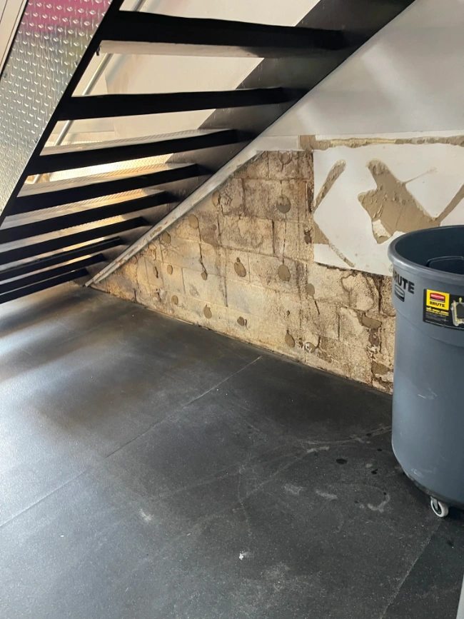 mold-damage-restoration-4