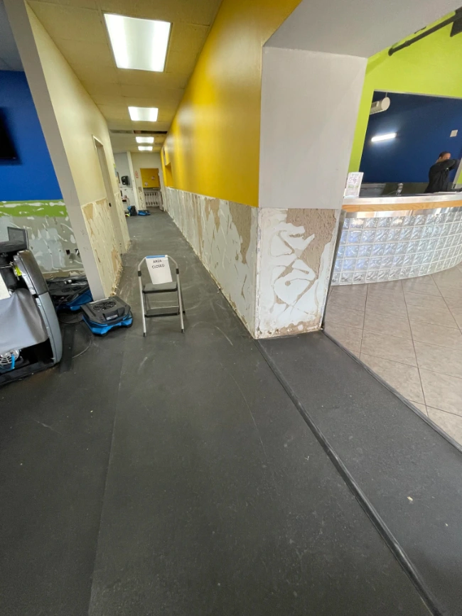mold-infestation-2