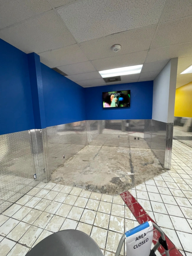 mold-problems-2