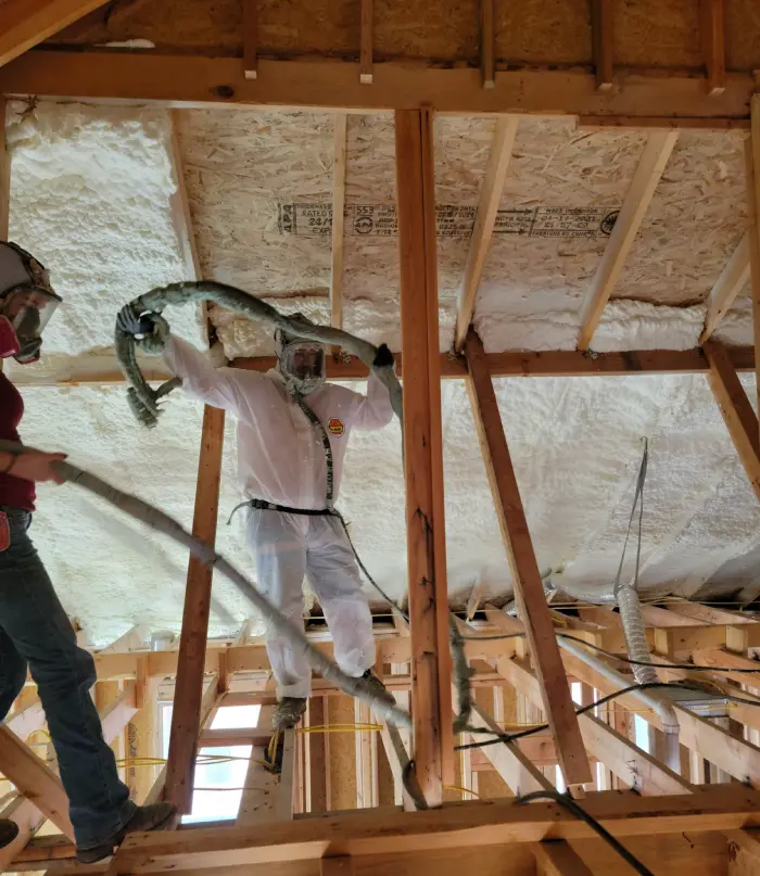 mold reconstruction in a home