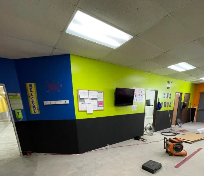 mold-removal-3